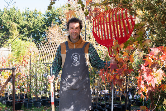 Man holding rake getting ready to make compost