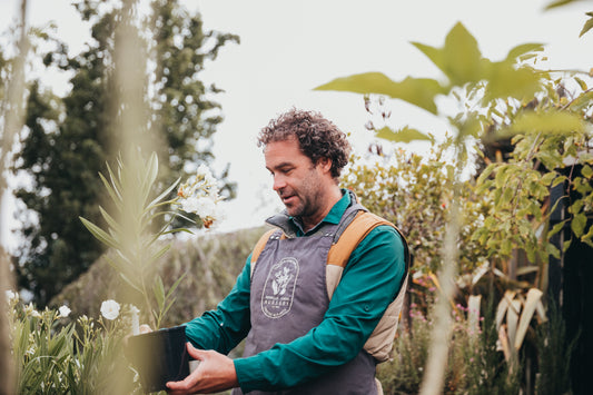 Summer gardening tips for thriving gardens in the Macedon Ranges