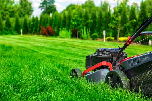 Feel The ‘Spring’ Under Your Step – Top 5 Lawn Care Tips