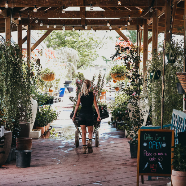 Services Riddells Creek Nursery Plantlife & Gifts Macedon Ranges