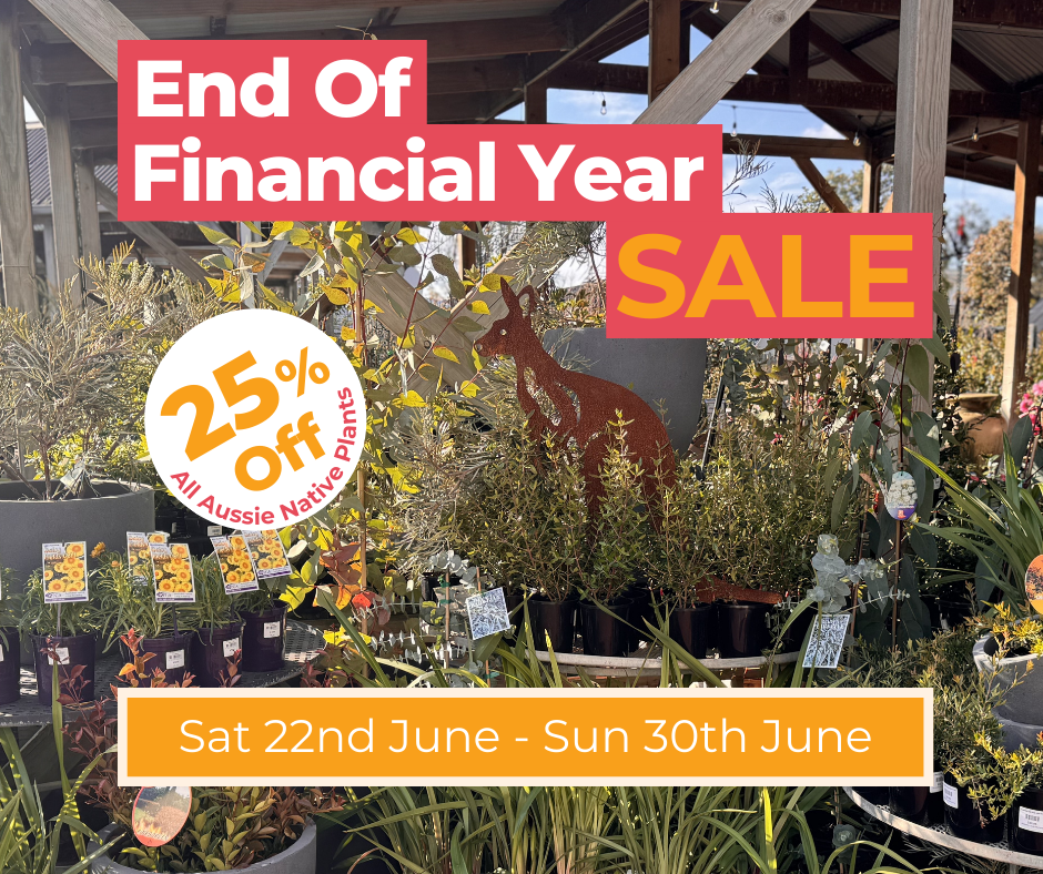 Riddells Creek Nursery