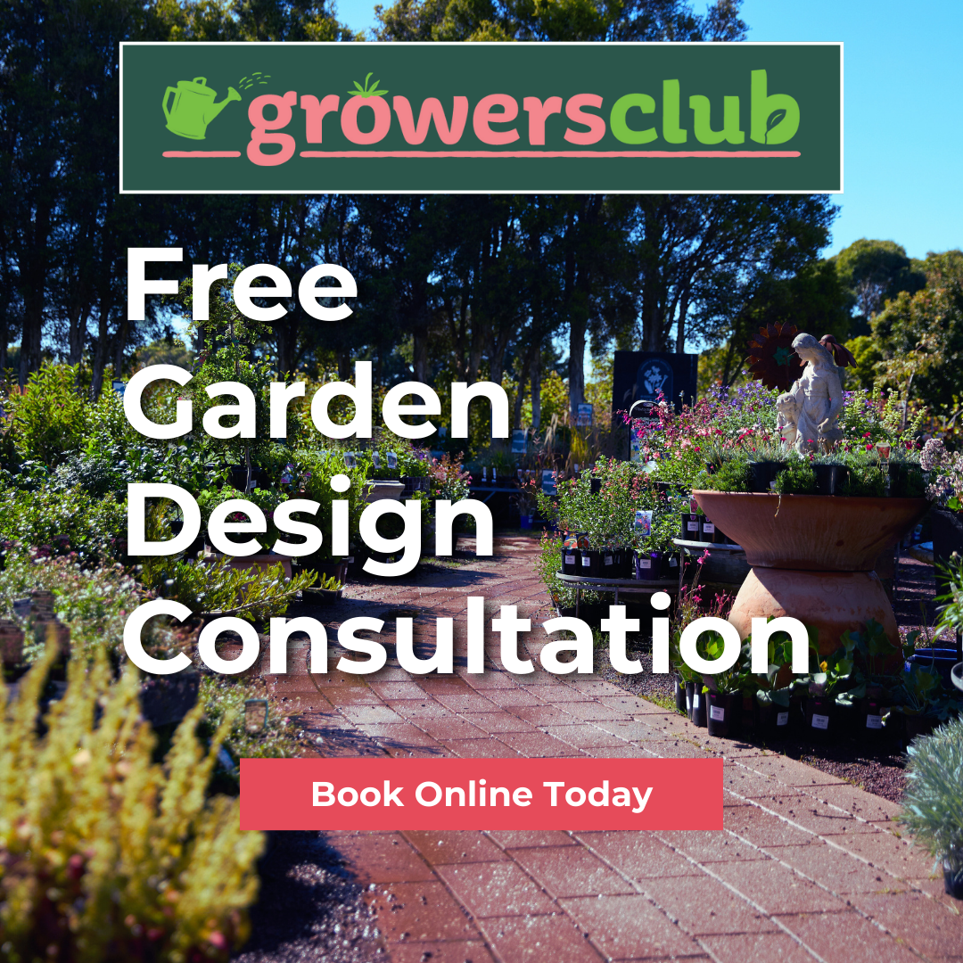 Garden Design Consultation