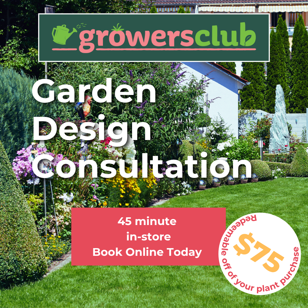 Garden Design Consultation